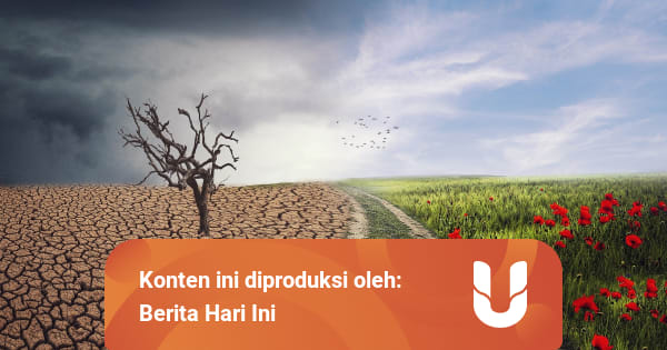 Menurut Kamu, Apa Kelebihan dan Kekurangan Terjadinya 2 Iklim di Negara